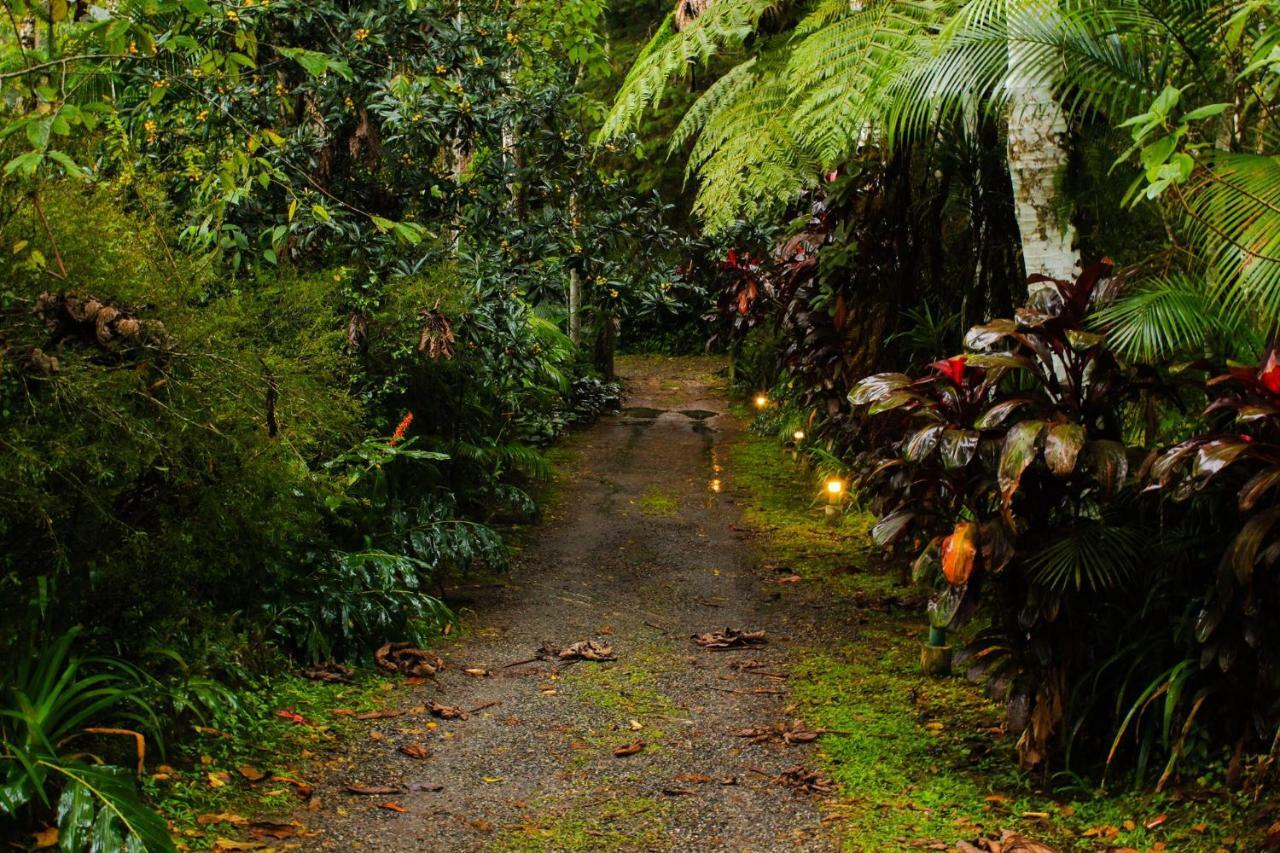 Quarto Varanda - Residencia Gaia Itatiaia Itatiaia  Exteriér fotografie